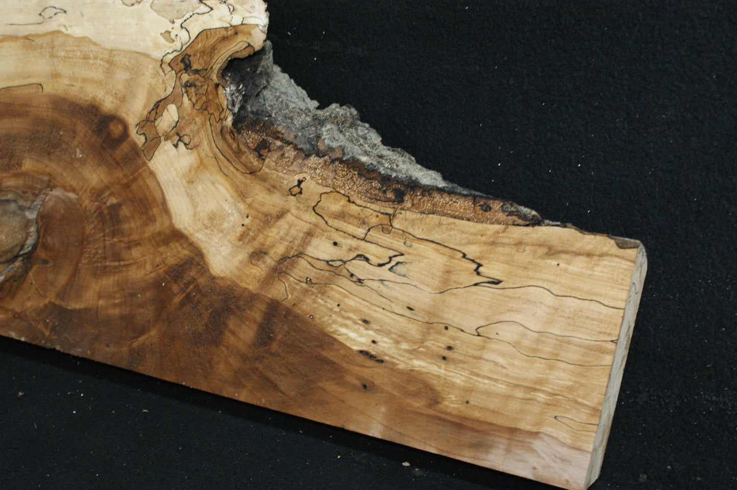 Spalted Beech (672)
