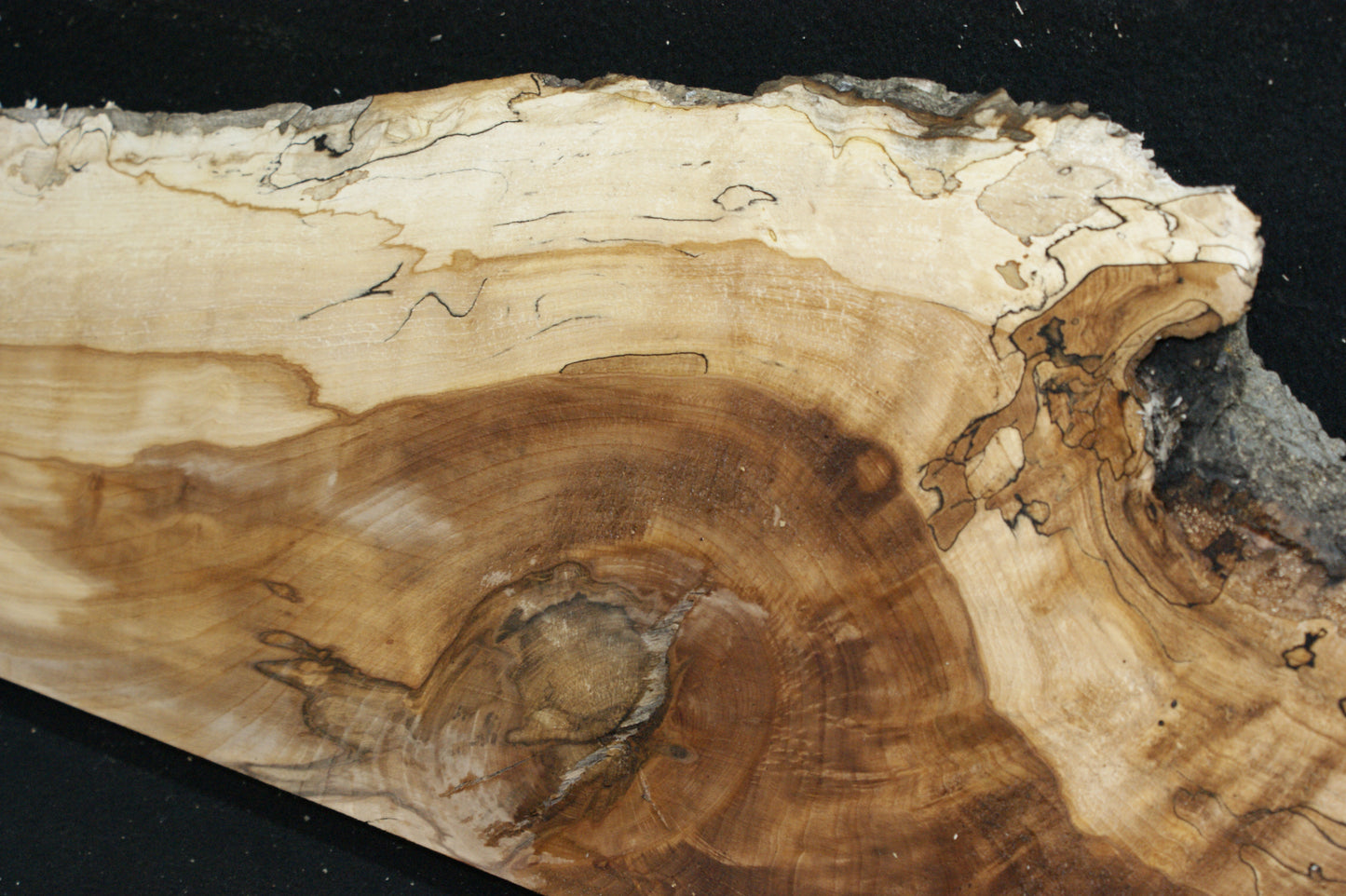 Spalted Beech (672)