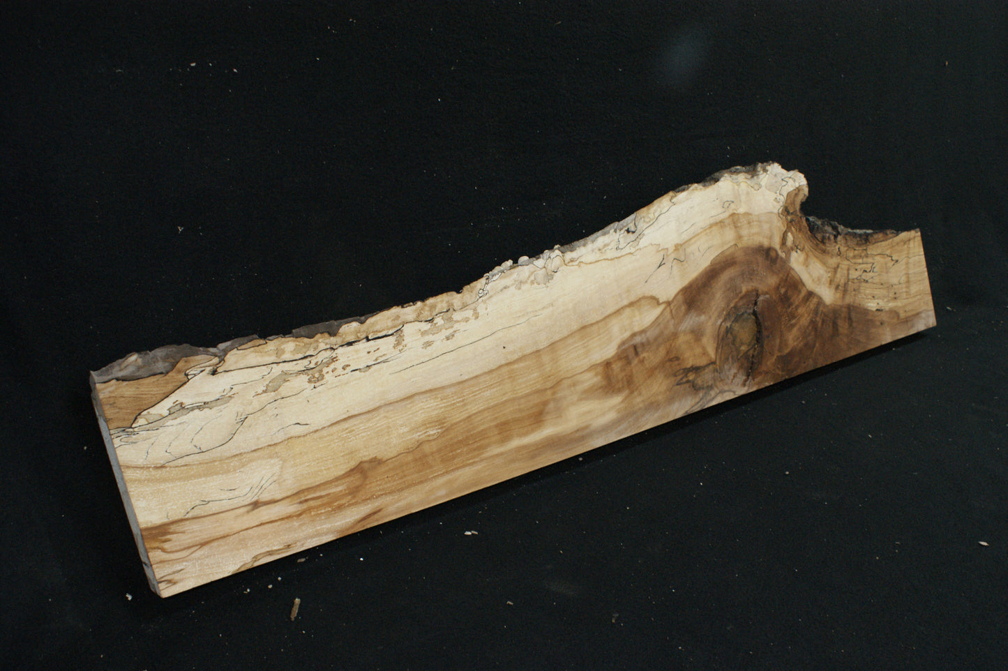 Spalted Beech (672)