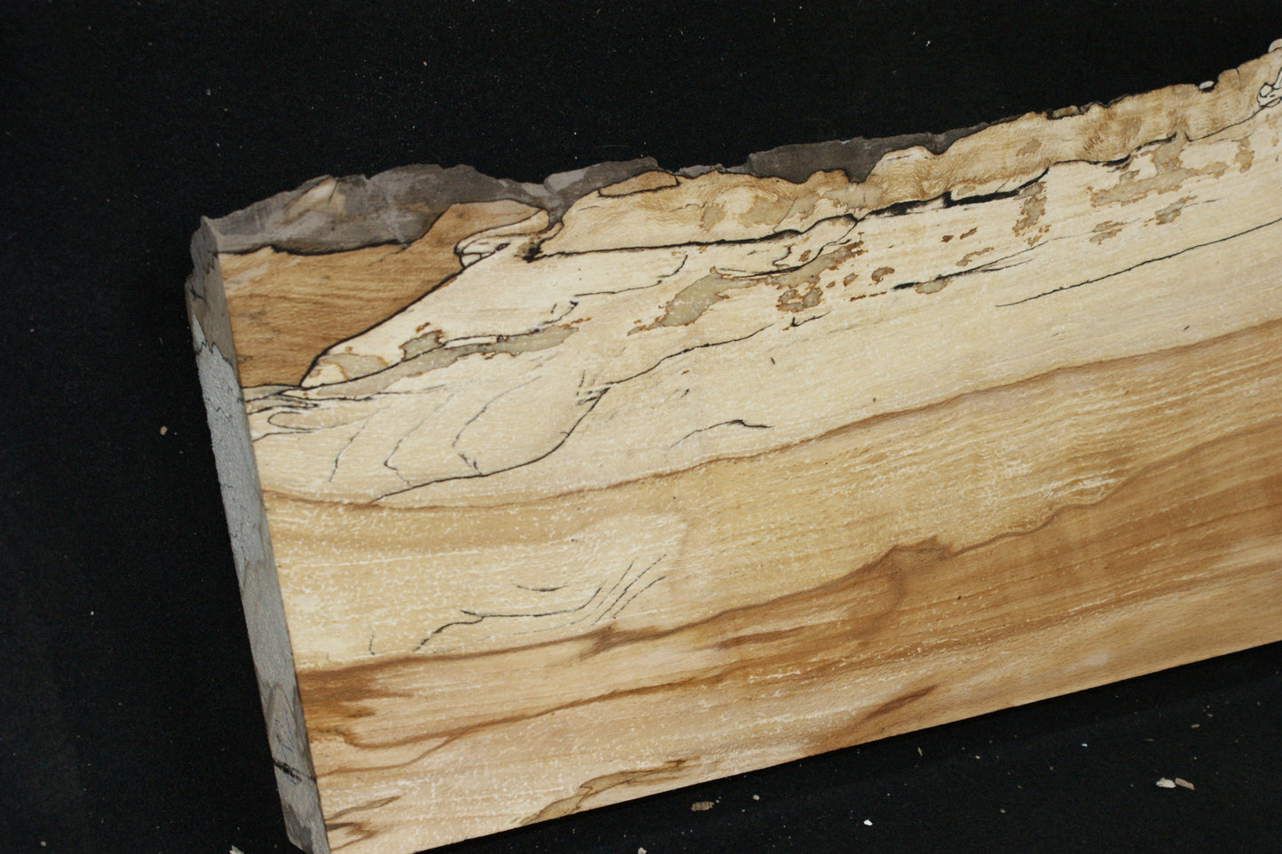 Spalted Beech (672)