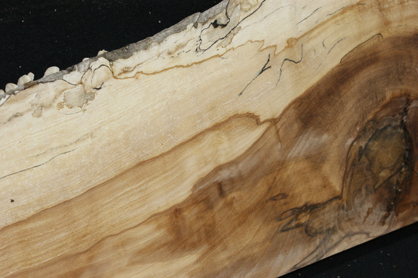 Spalted Beech (672)