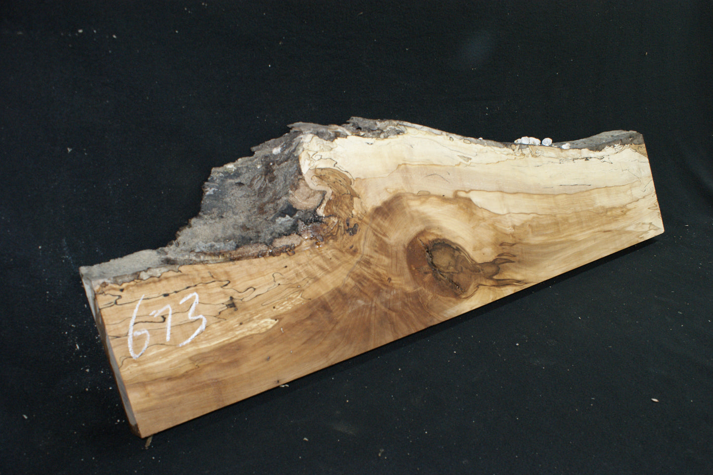 Spalted Beech (673)