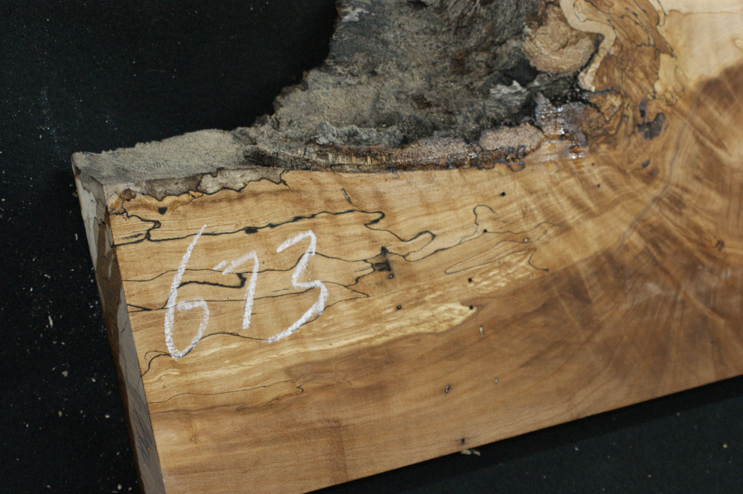 Spalted Beech (673)