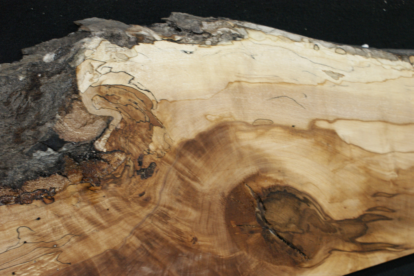 Spalted Beech (673)