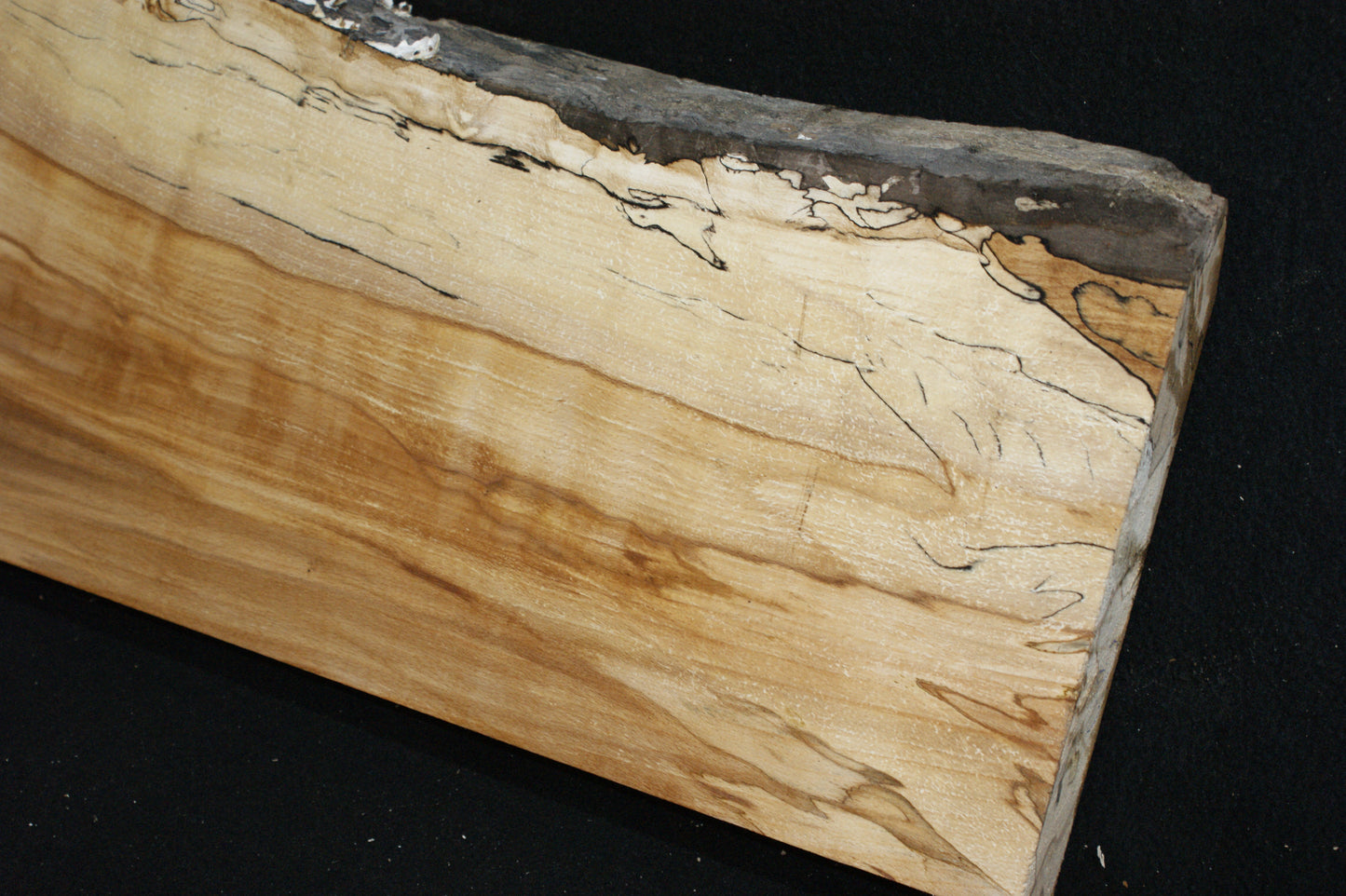 Spalted Beech (673)