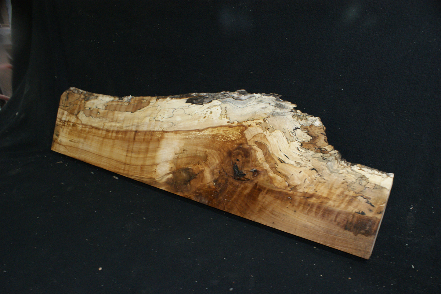 Spalted Beech (673)