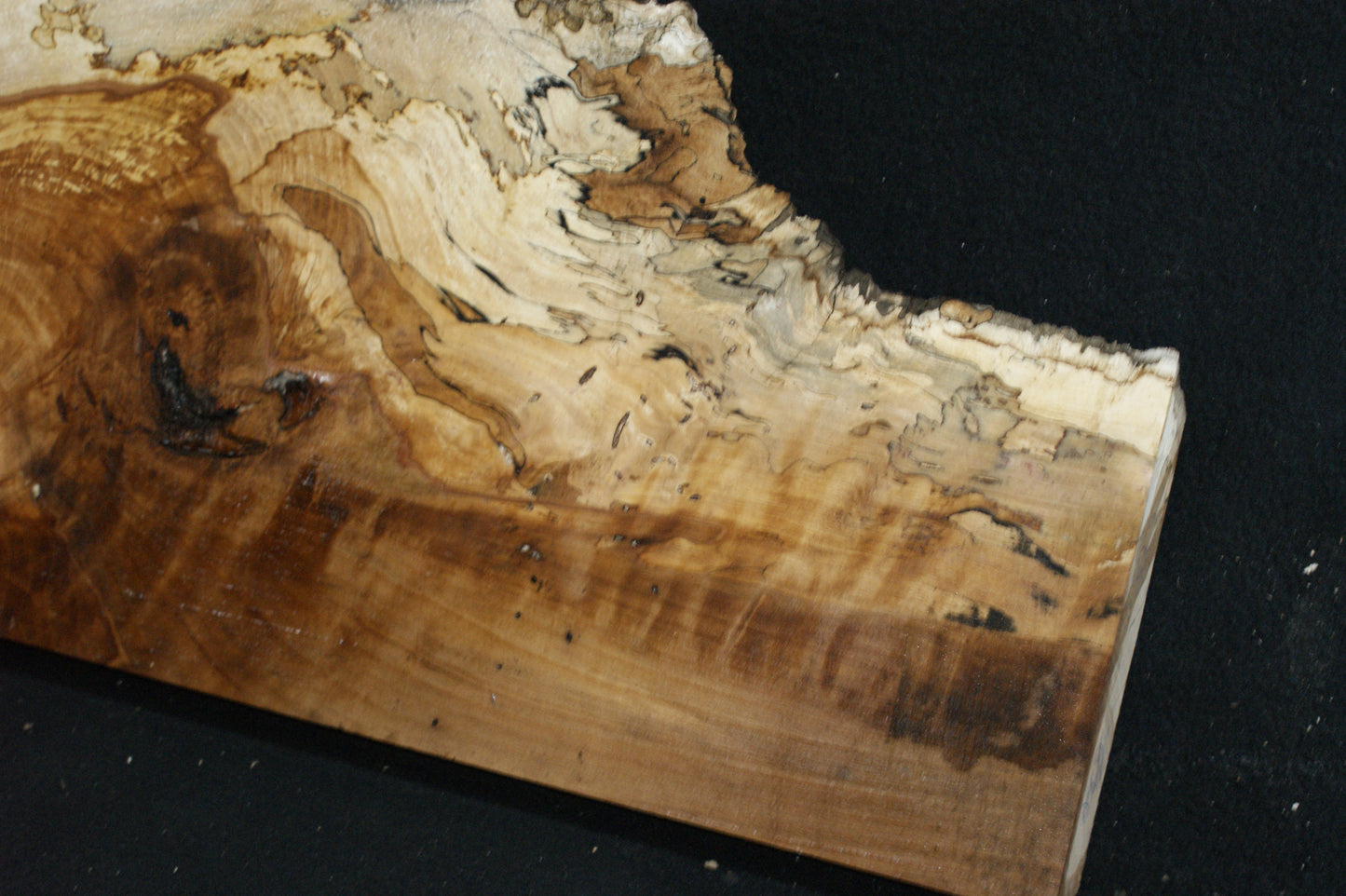 Spalted Beech (673)