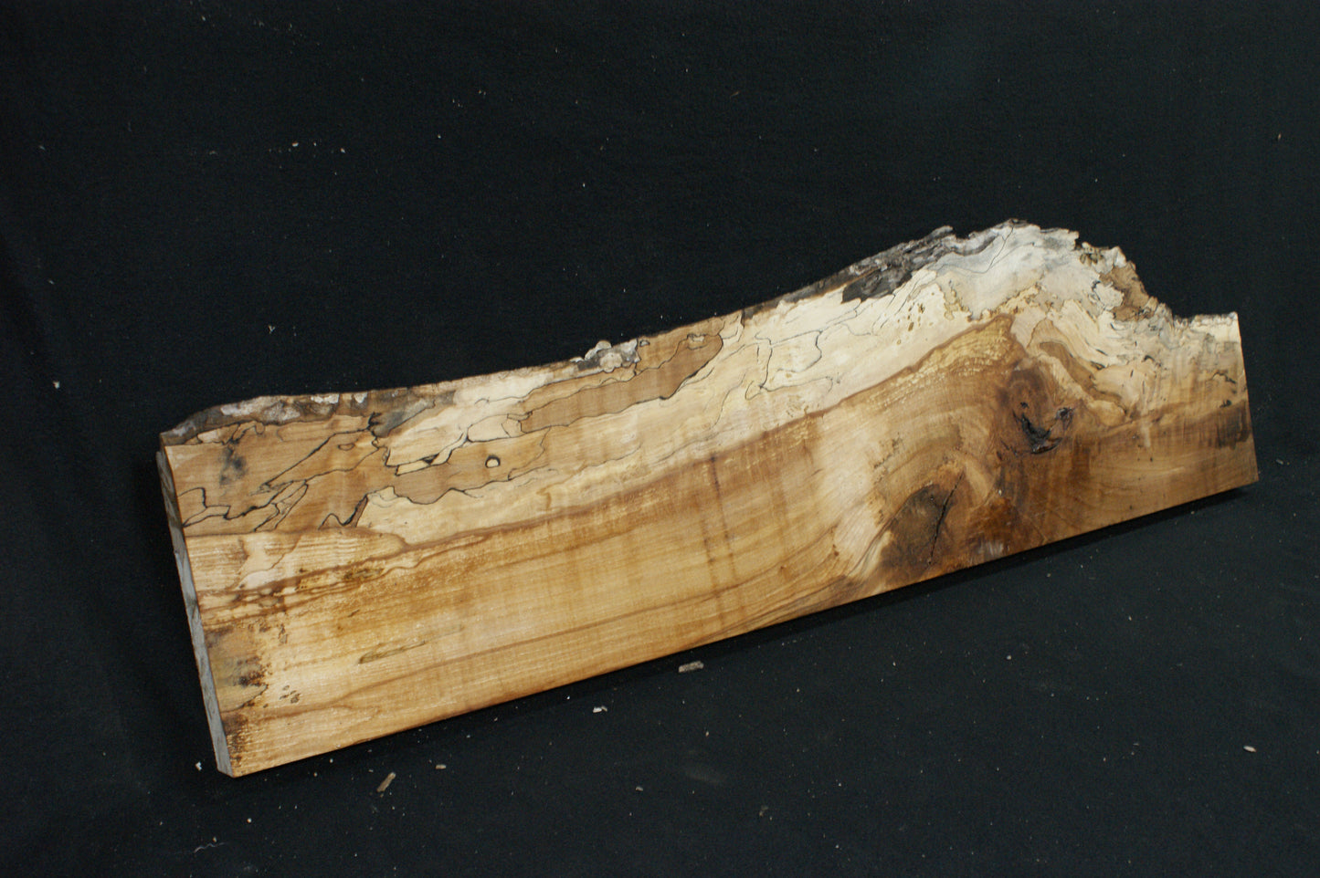 Spalted Beech (673)