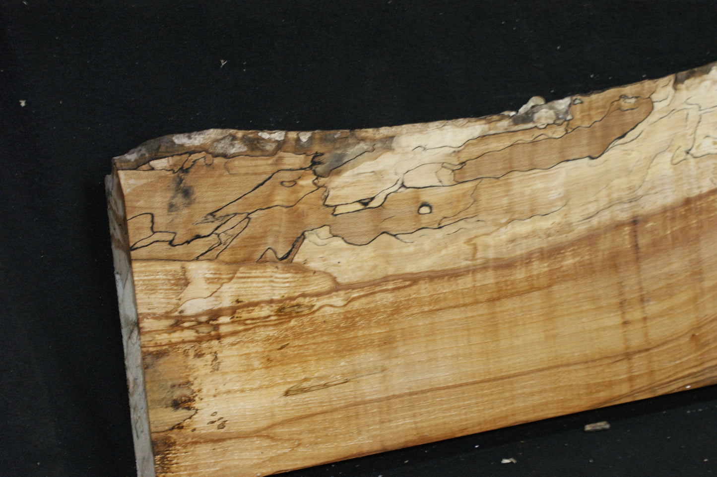 Spalted Beech (673)
