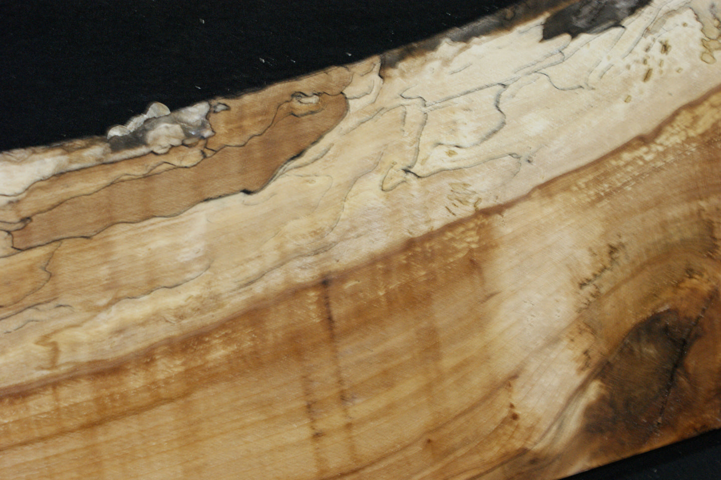 Spalted Beech (673)