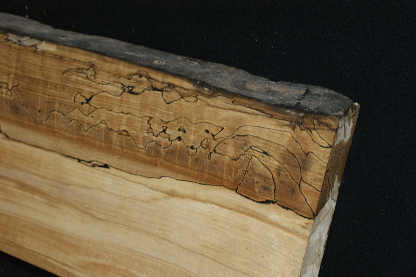 Spalted Beech (675)