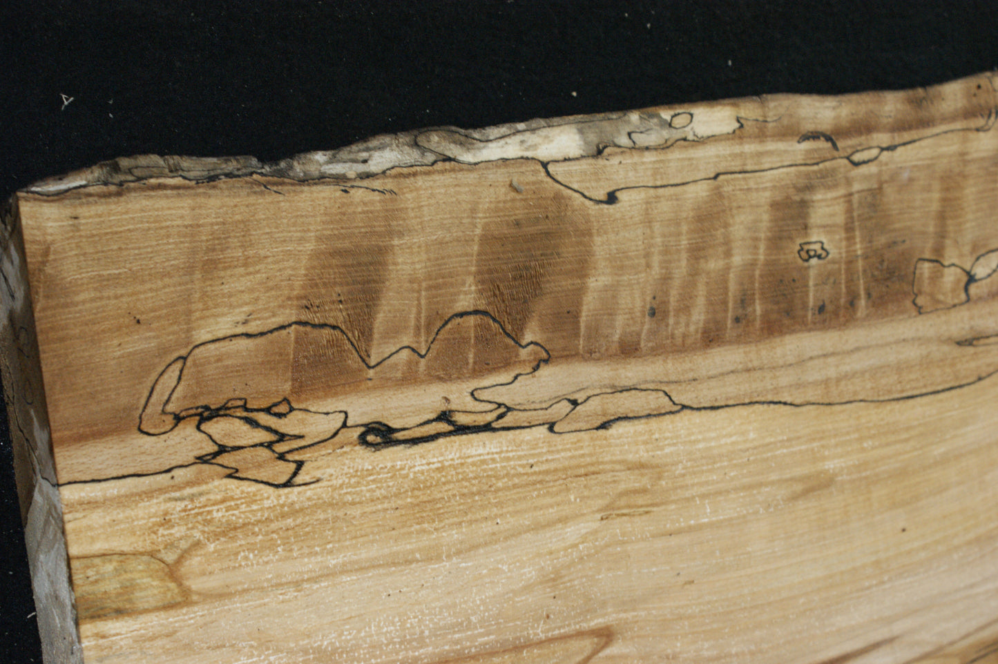 Spalted Beech (675)