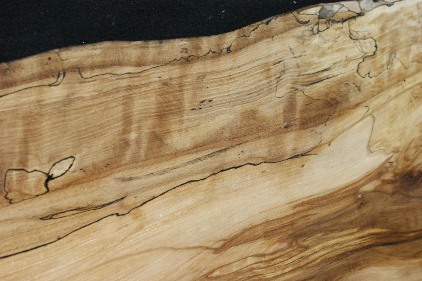 Spalted Beech (675)