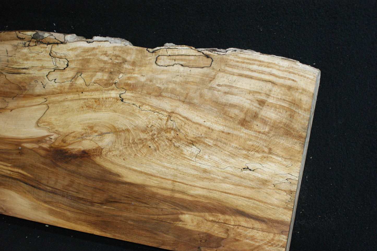 Spalted Beech (675)