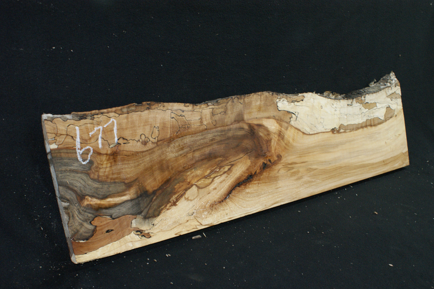 Spalted Beech (677)