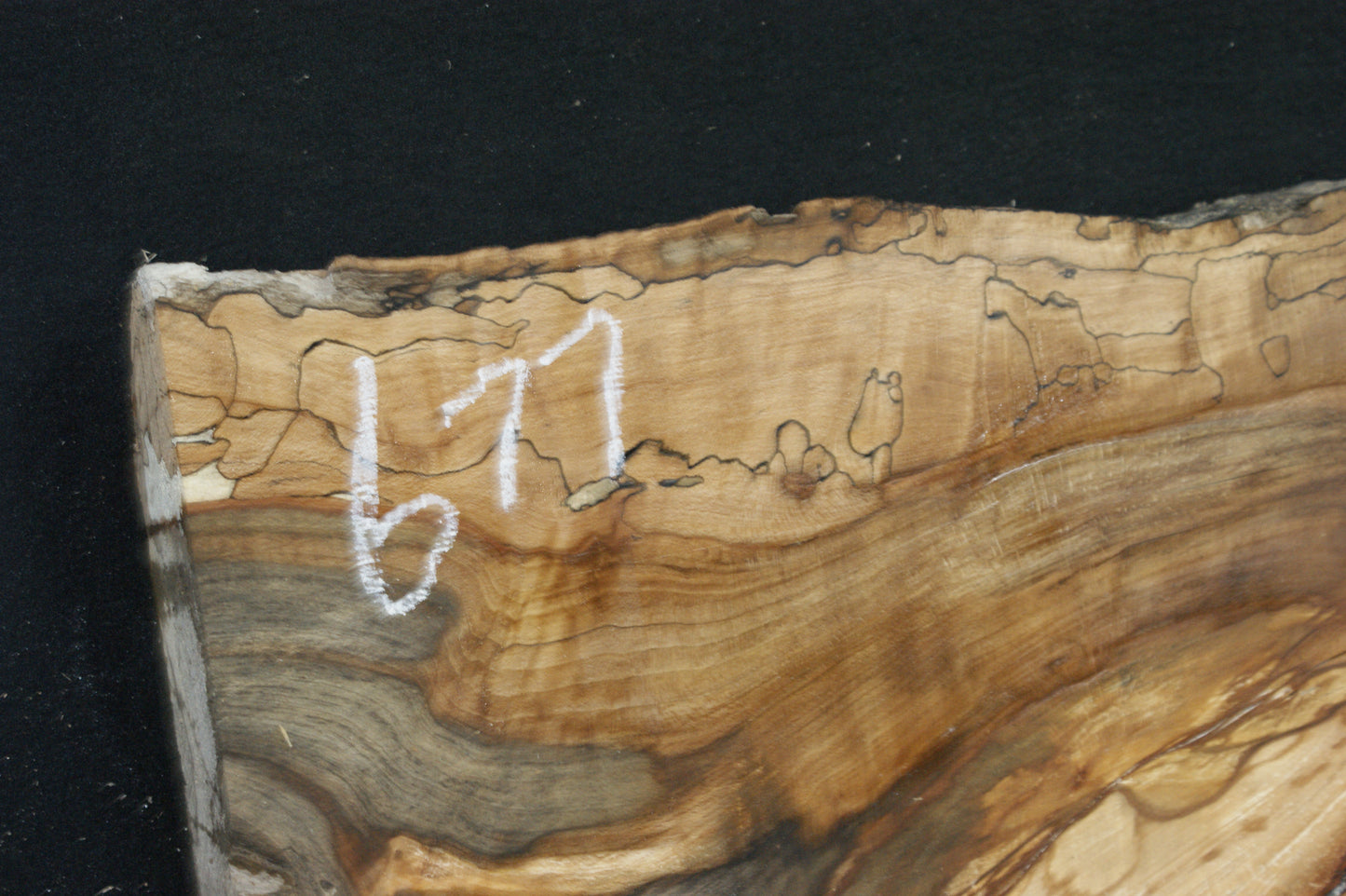 Spalted Beech (677)