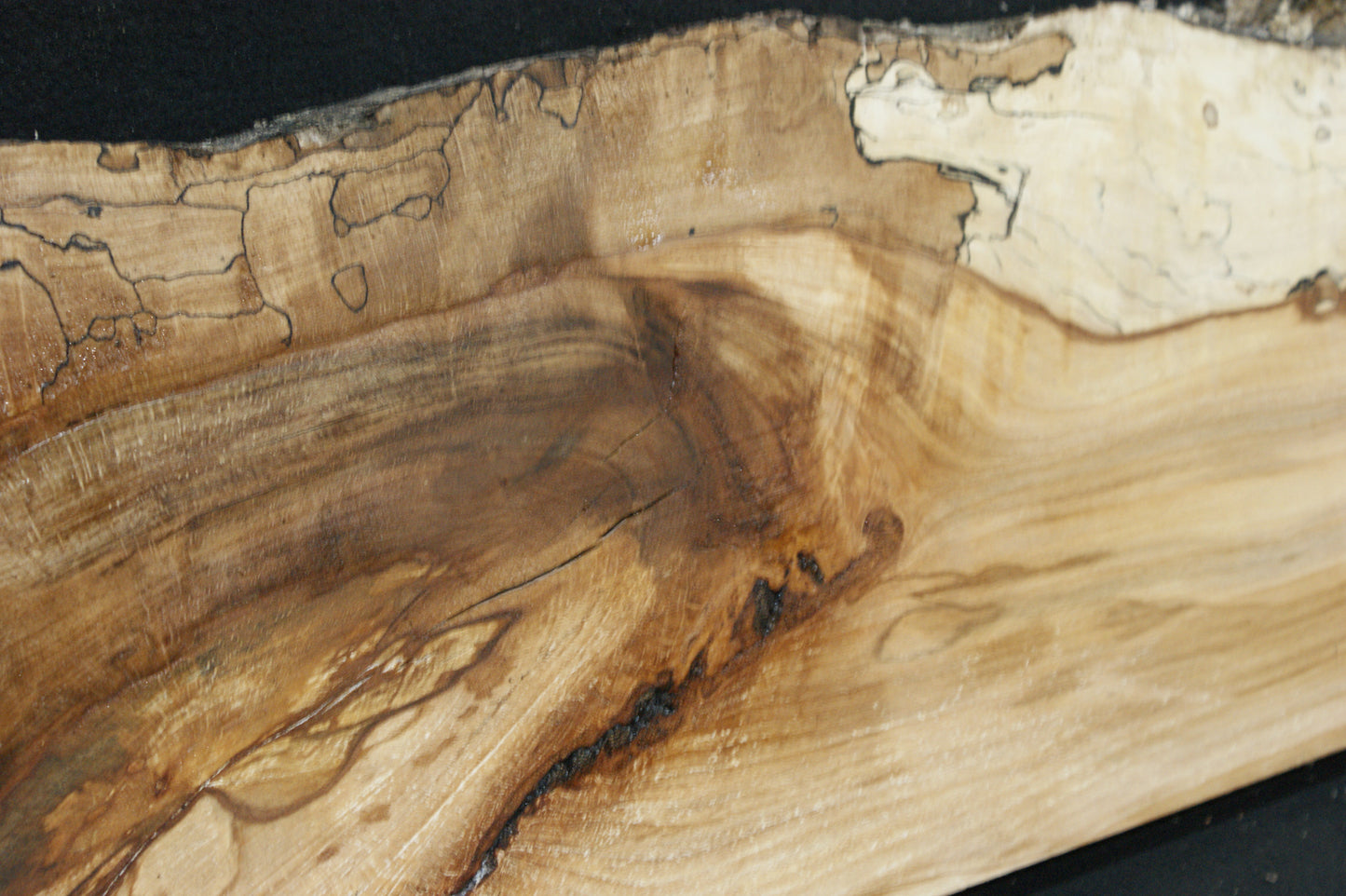 Spalted Beech (677)