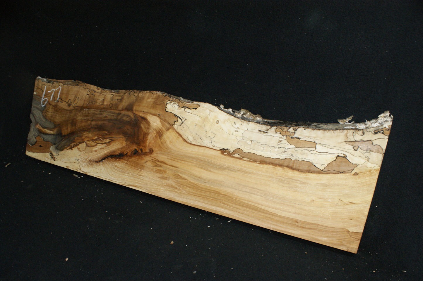 Spalted Beech (677)