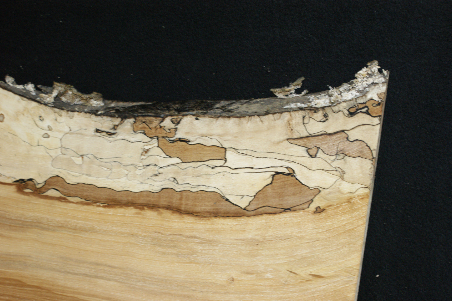 Spalted Beech (677)