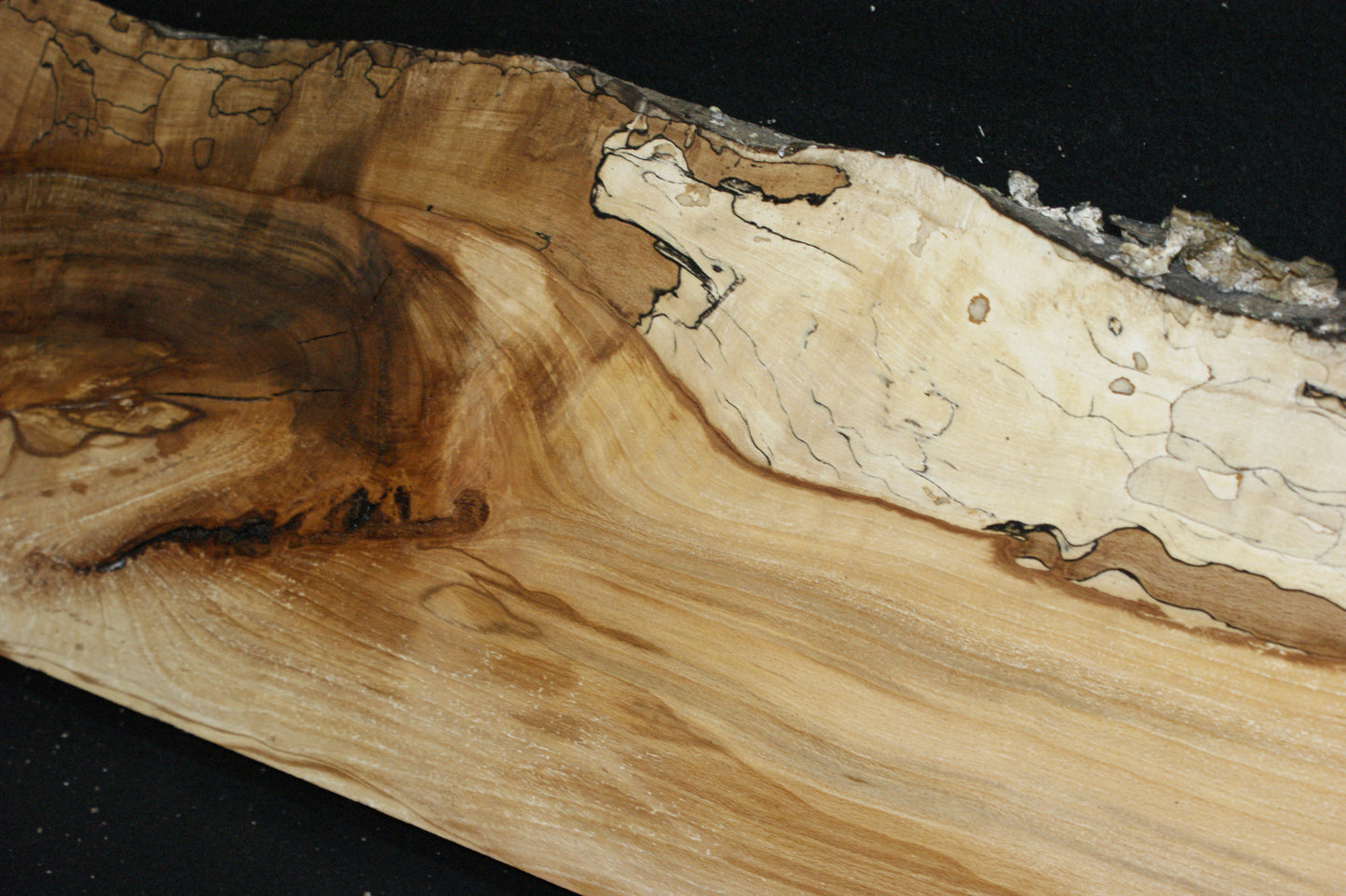 Spalted Beech (677)