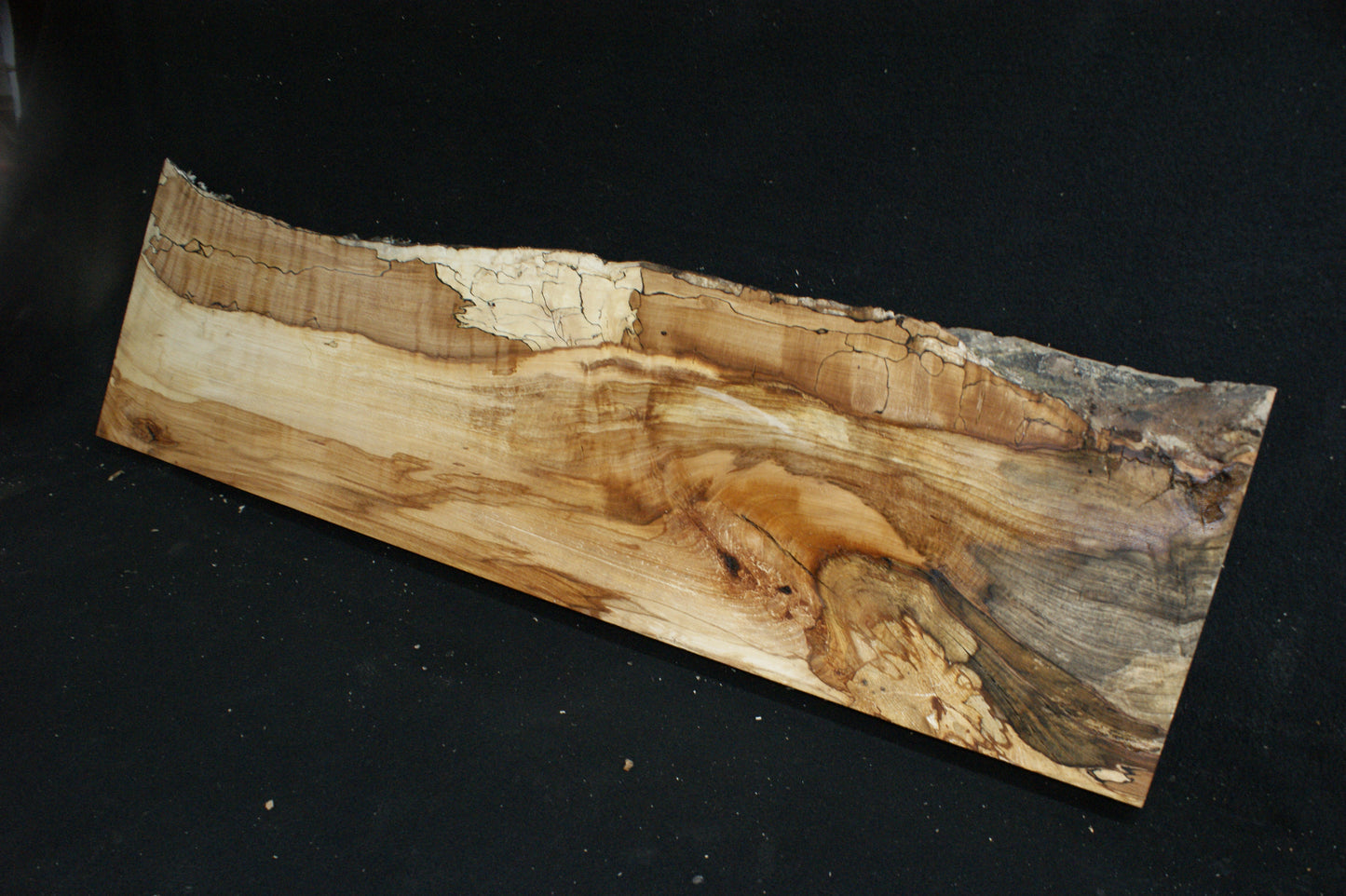 Spalted Beech (677)