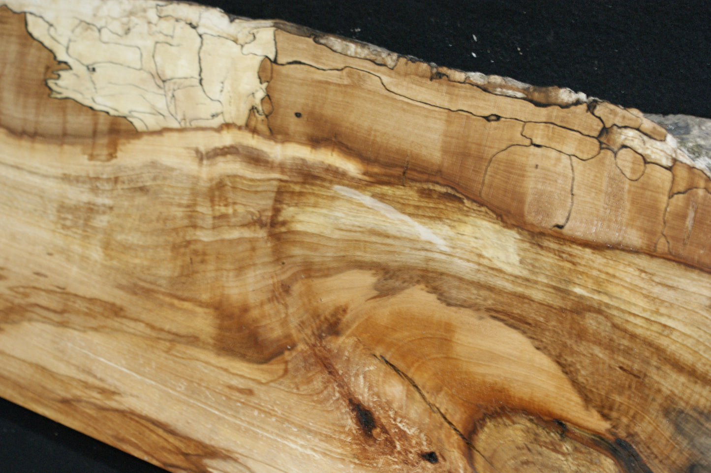 Spalted Beech (677)