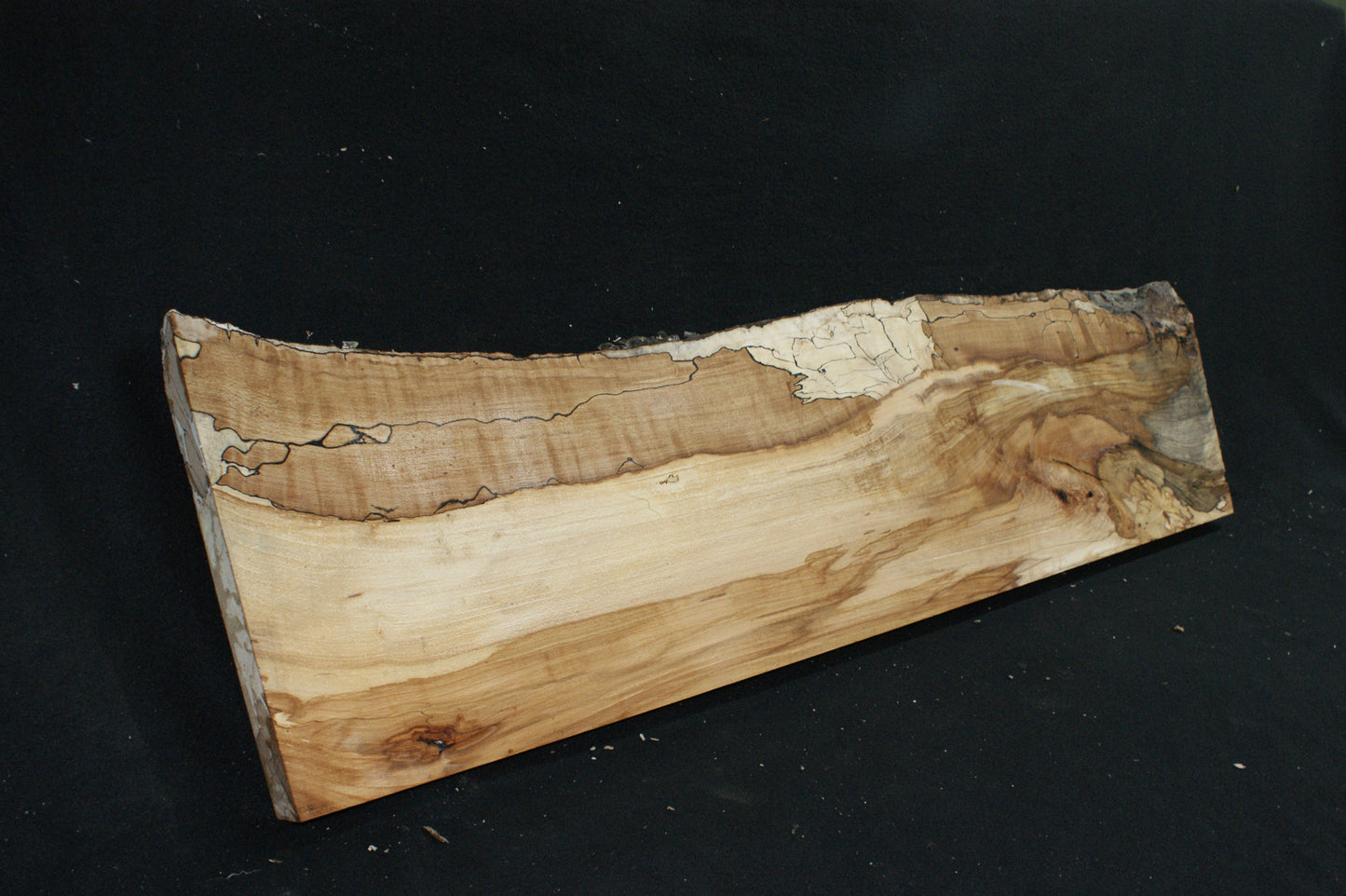 Spalted Beech (677)