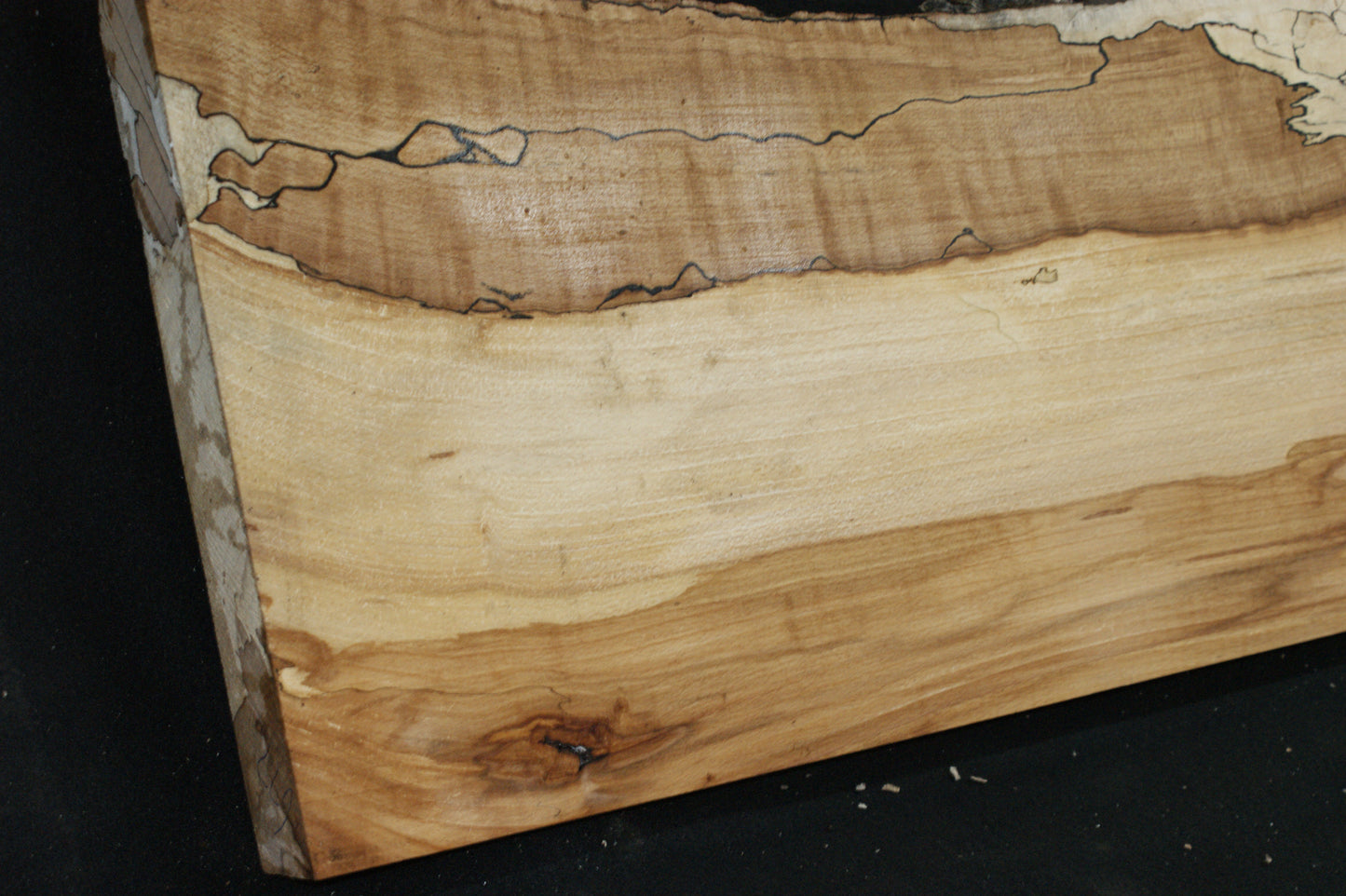 Spalted Beech (677)