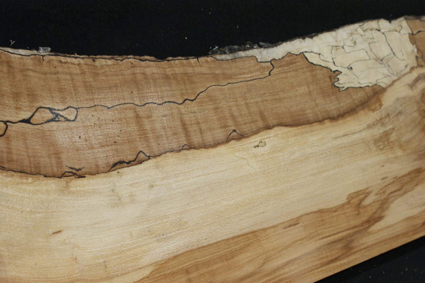 Spalted Beech (677)