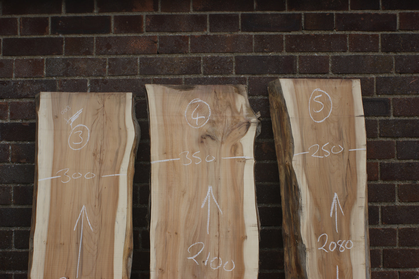 2 meter+- 31-46mm thick English Yew (787-791)