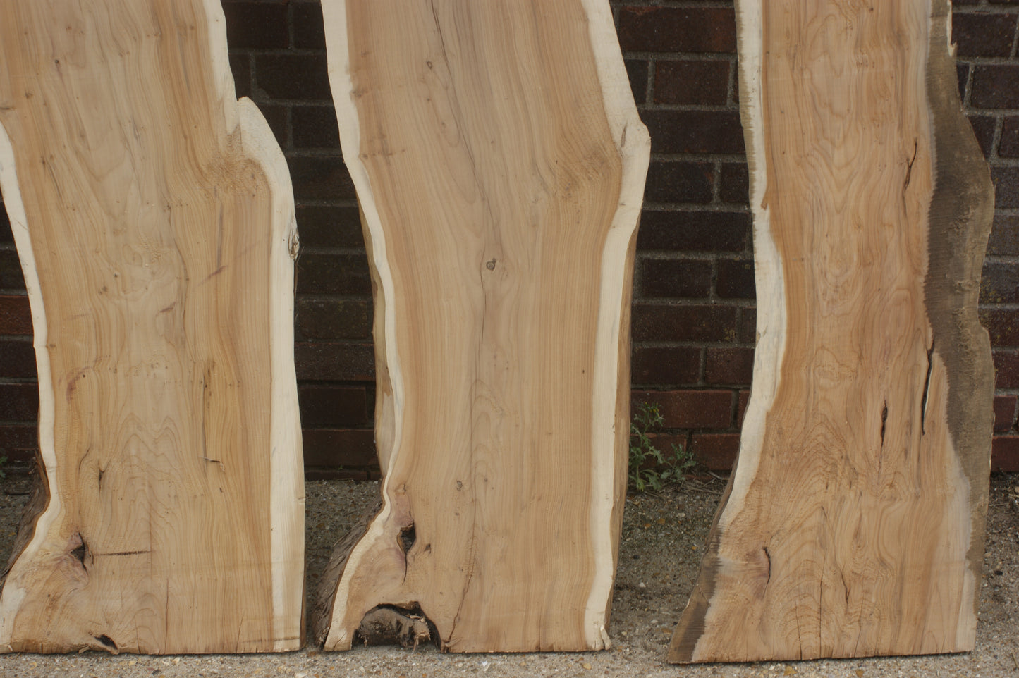 2 meter+- 31-46mm thick English Yew (787-791)