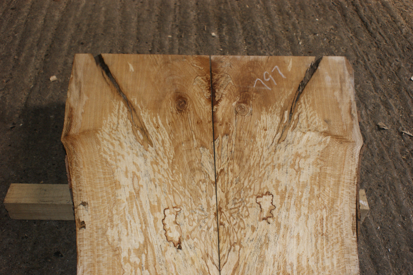 Book matched guitar body, London plane 1200 L x 525 - 325 W x 50 mm (797)
