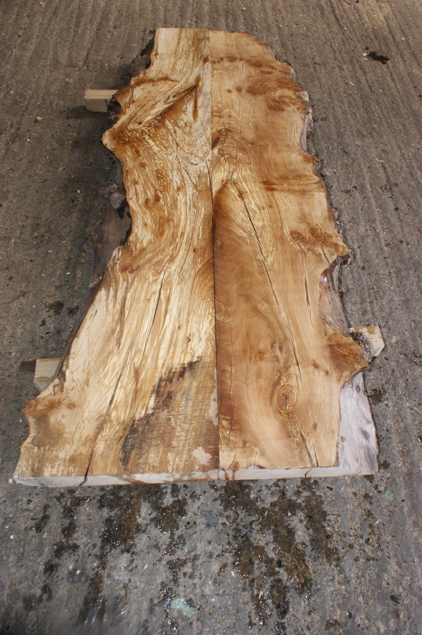 Book matched guitar body, Burr London Plane 1196 L x 485 - 300 W x 50 mm (799)