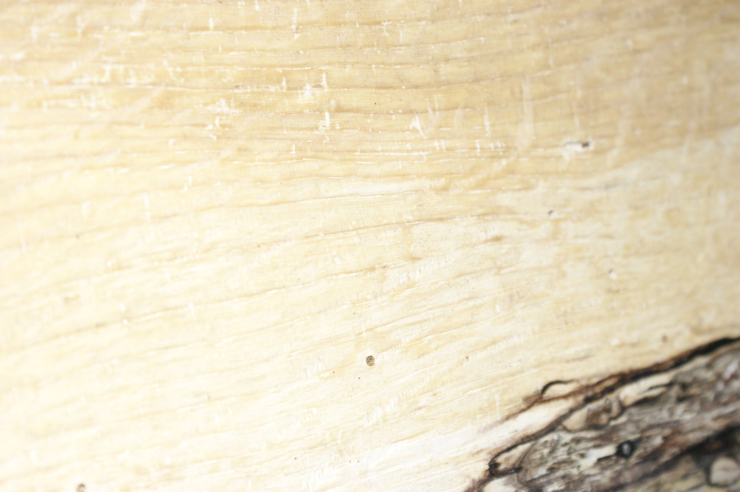 (80) SPALTED TURKEY OAK, 975 L x 324 W x 45 D mm RUSTIC HARDWOOD, CRAFTS, SHELVING