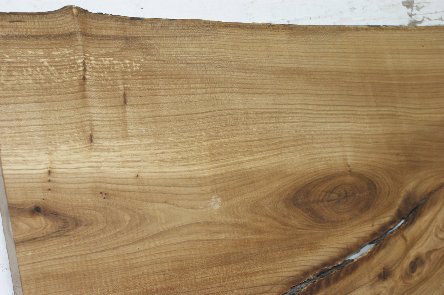 Elm, hard wood plank, slab, 1092 L x 545 W x 22 D mm (843)