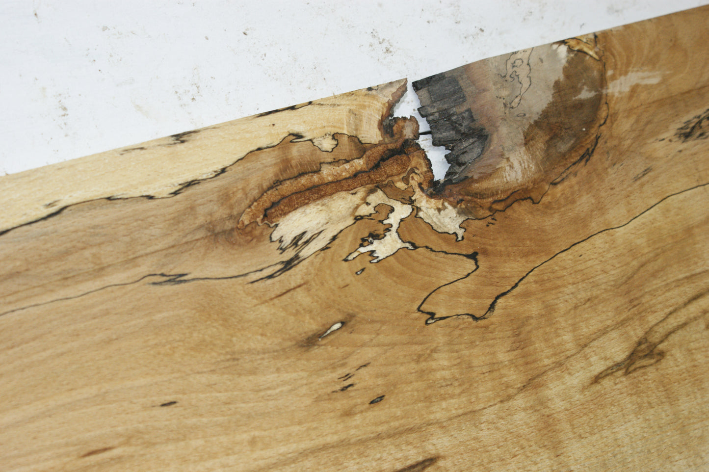 Spalted beech tone wood, craft wood 1177 L x 260 W x 15 D (mm) (929)