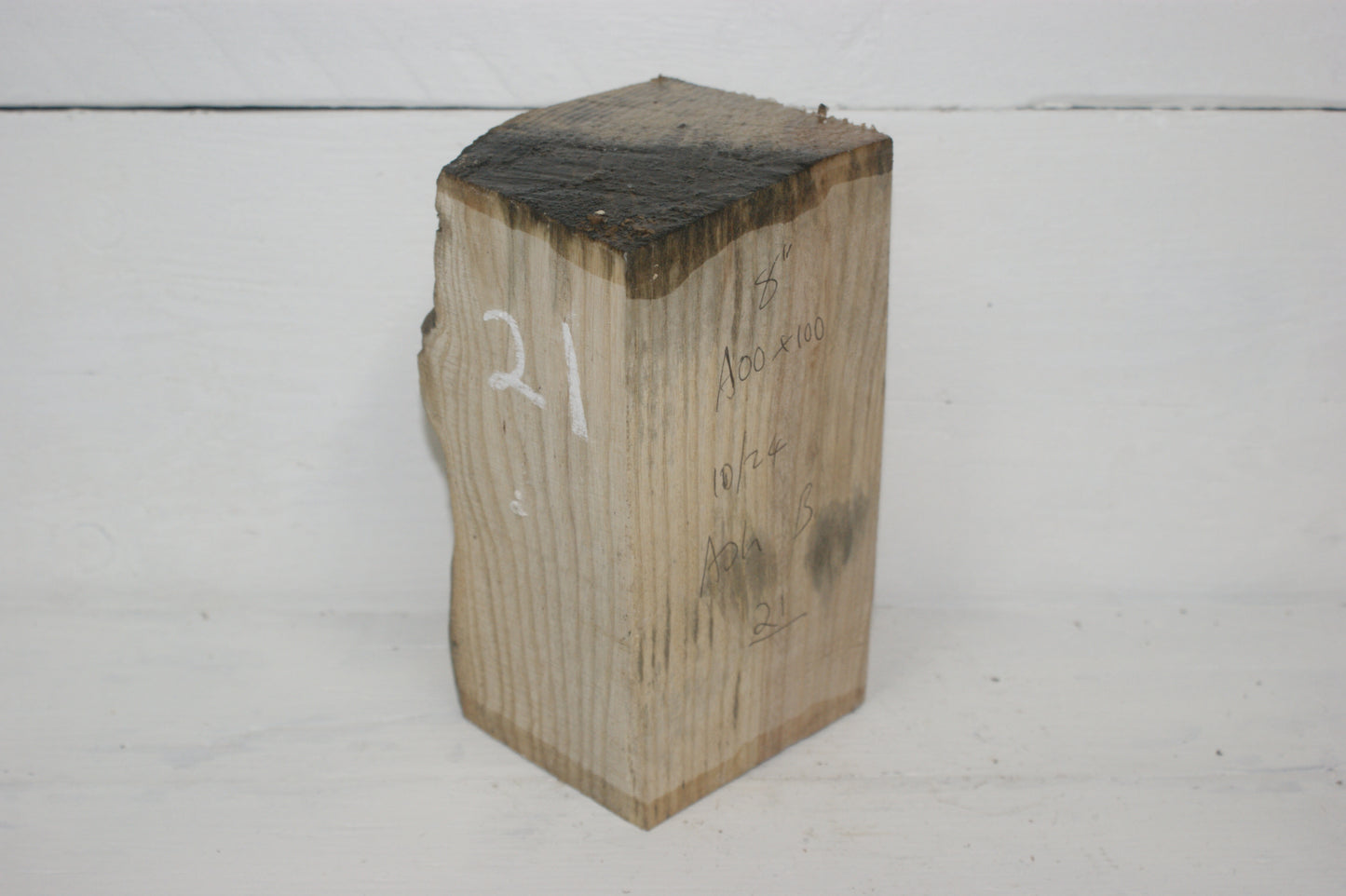 Ash 204 x 100 mm B Grade wood turning blank (021)