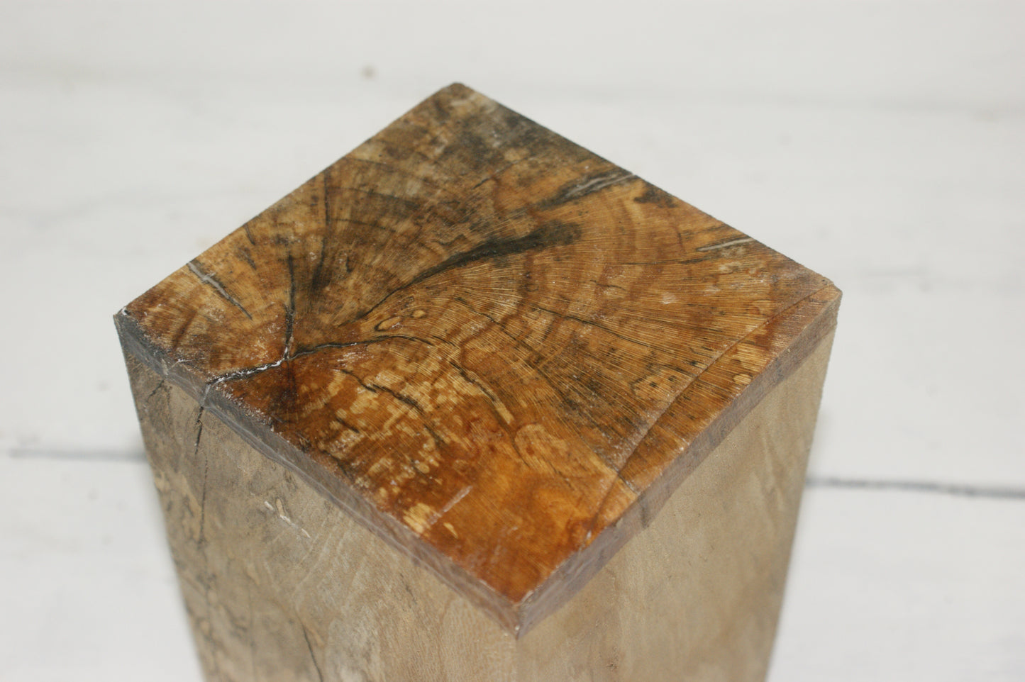 Spalted London Plane 204 x 120 mm cube. B Grade wood turning blank (042)