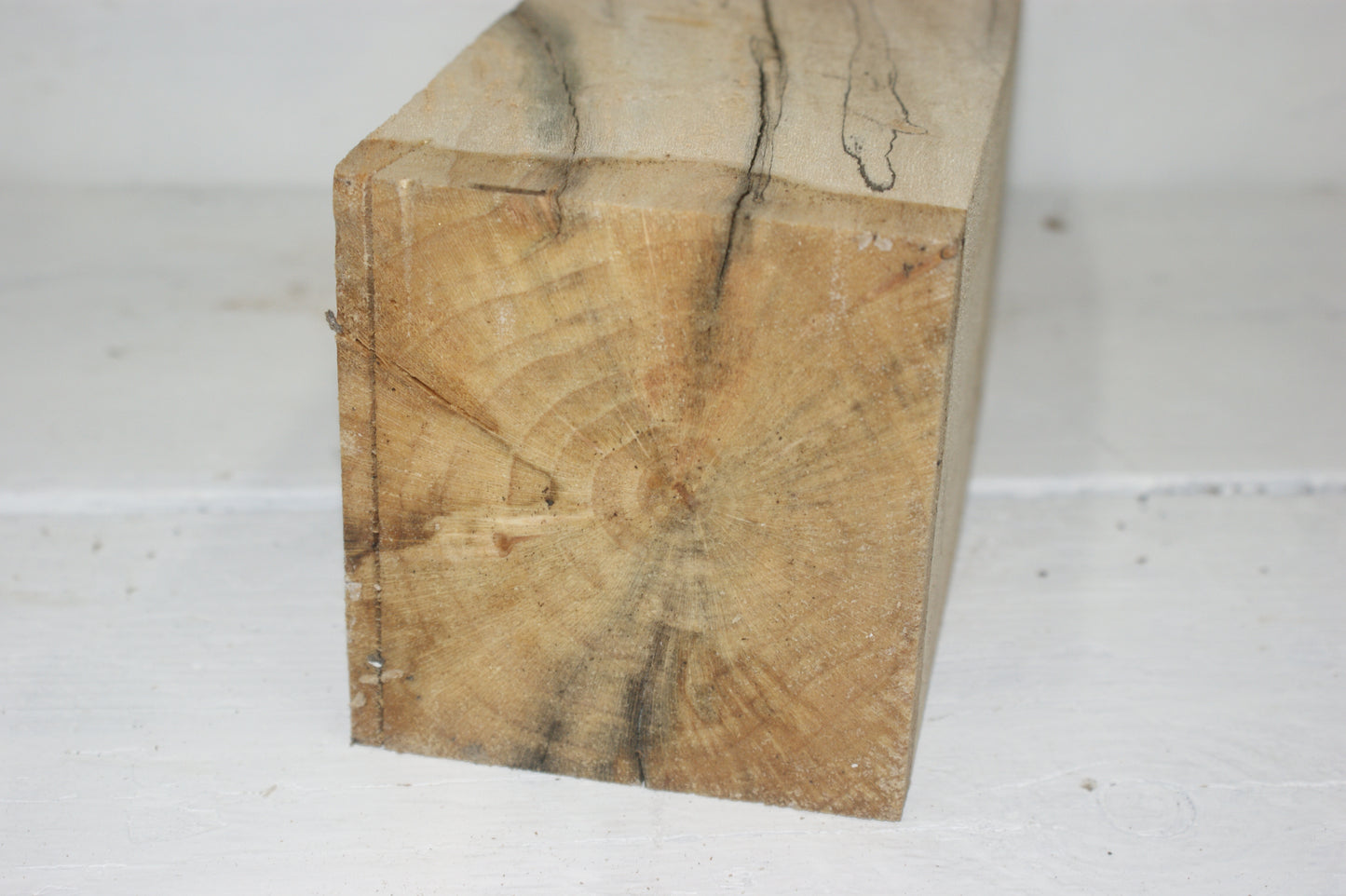Spalted London Plane 330 x 100 mm cube. B Grade wood turning blank (043)