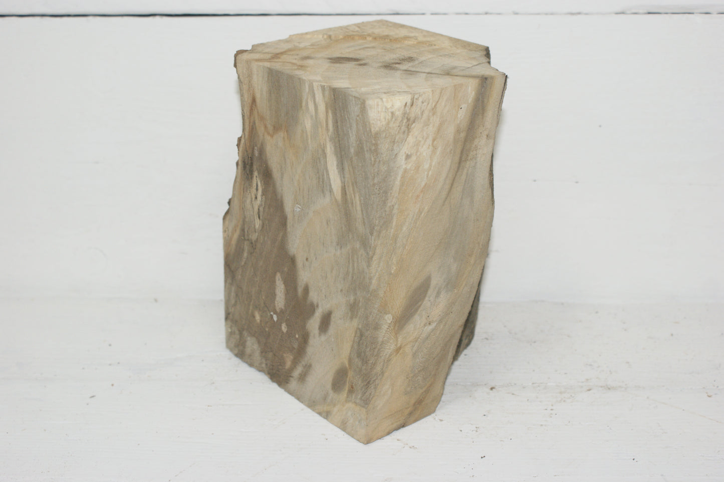 Spalted London Plane 178 x 120 mm cube. B Grade wood turning blank. (053)