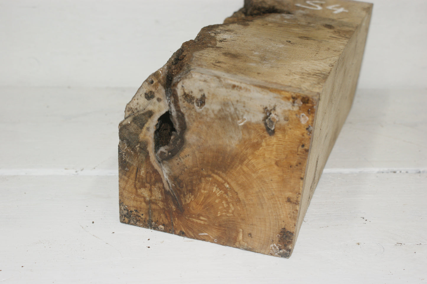 Spalted London Plane 330 x 120 mm cube. C Grade wood turning blank. (054)