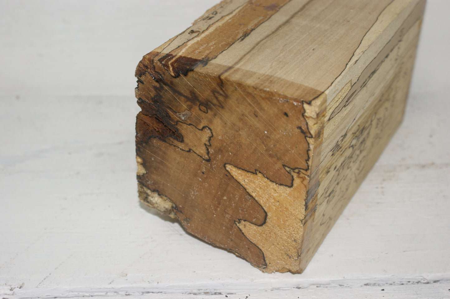 Spalted Beech 204 x 100 mm cube. B Grade wood turning blank. (061)