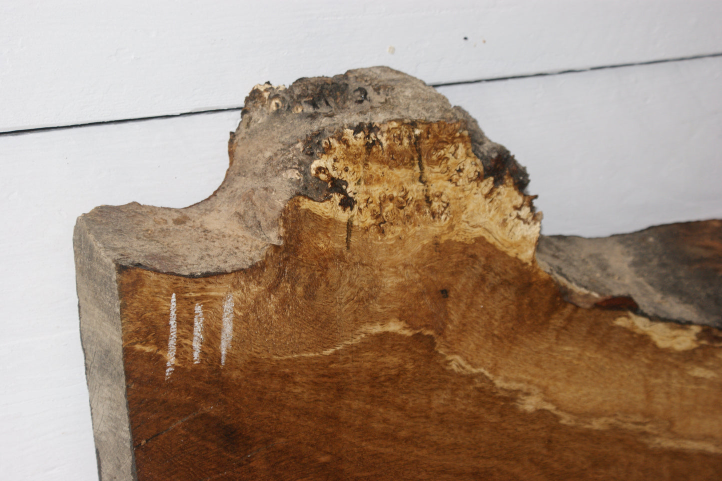 Burr Brown Oak 555 L x 430 - 300 W x 54 D mm (111)