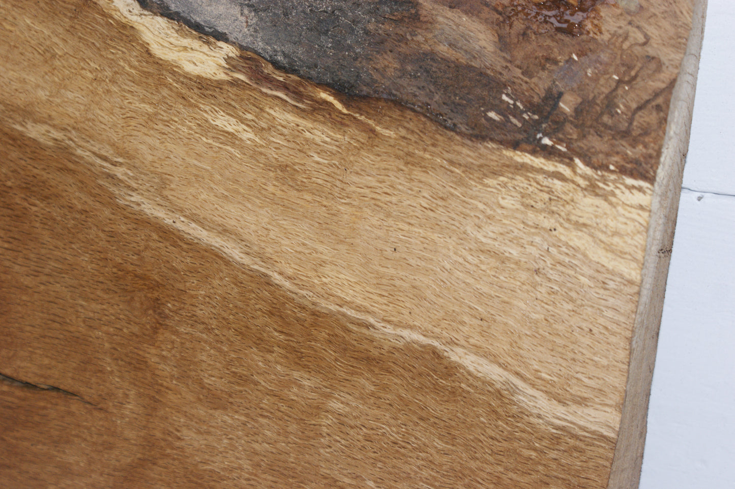Burr Brown Oak 555 L x 430 - 300 W x 54 D mm (111)