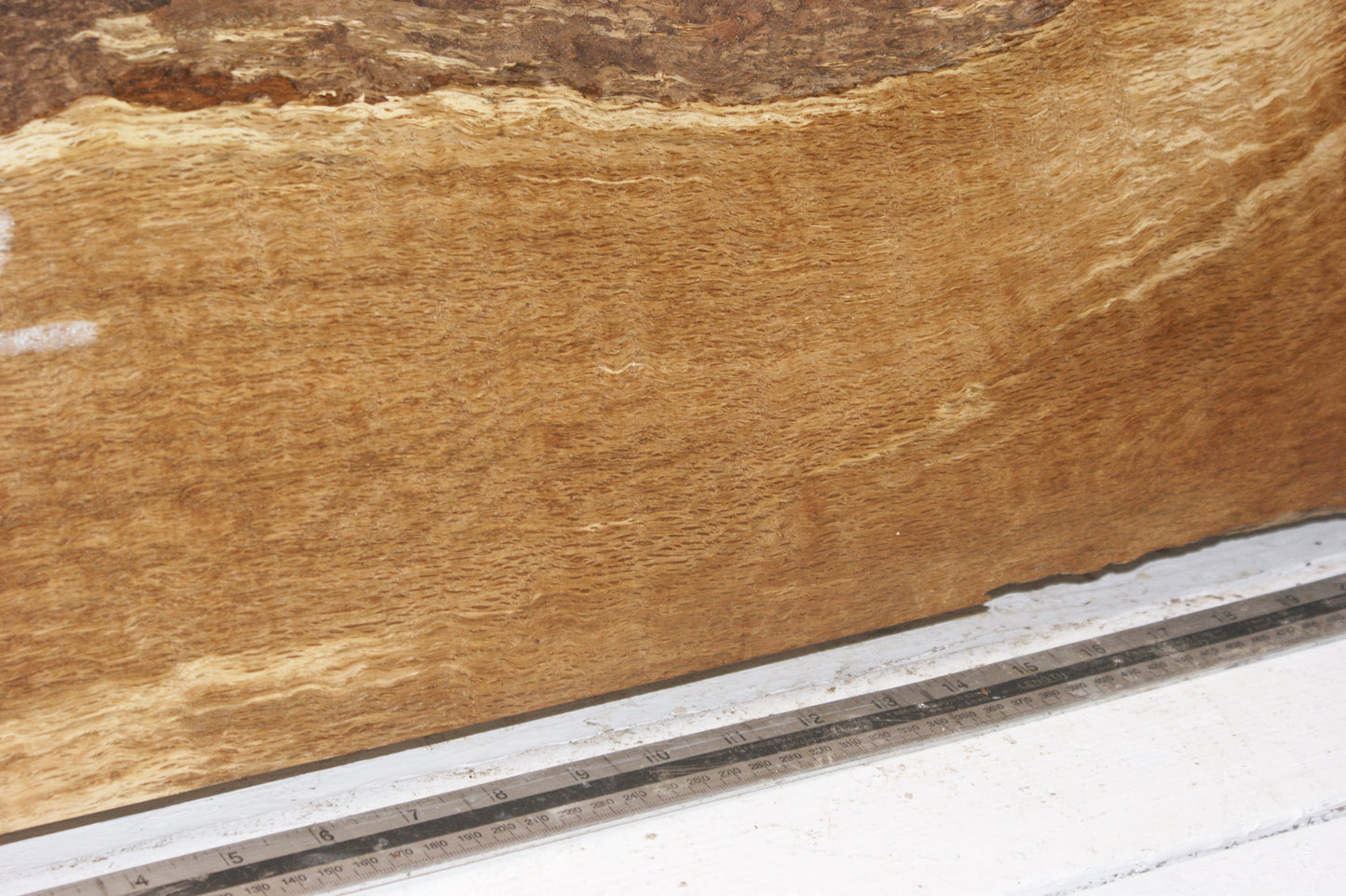 Burr Brown Oak 555 L x 310 - 215 W x 57 D mm (112)