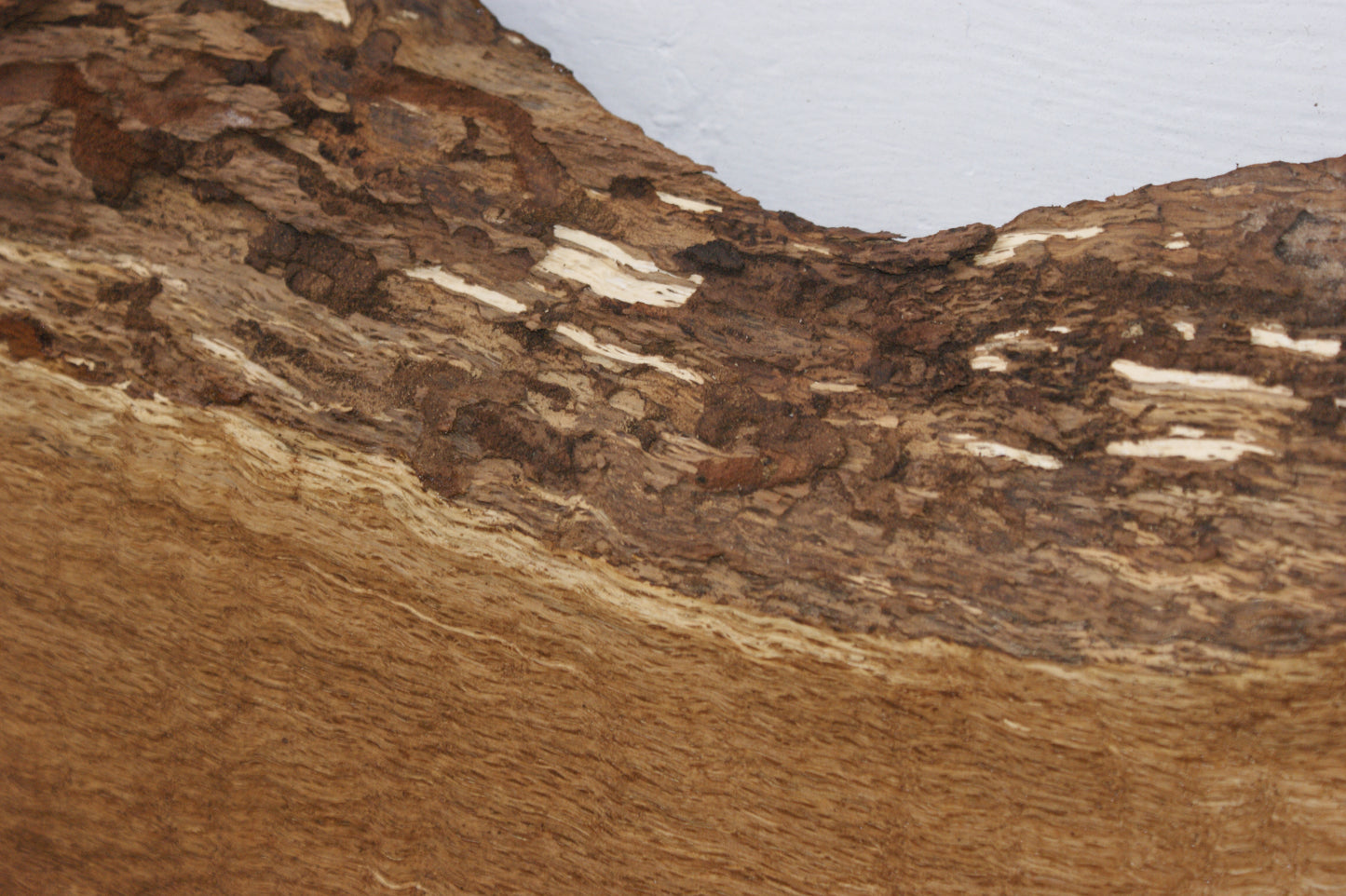 Burr Brown Oak 555 L x 310 - 215 W x 57 D mm (112)
