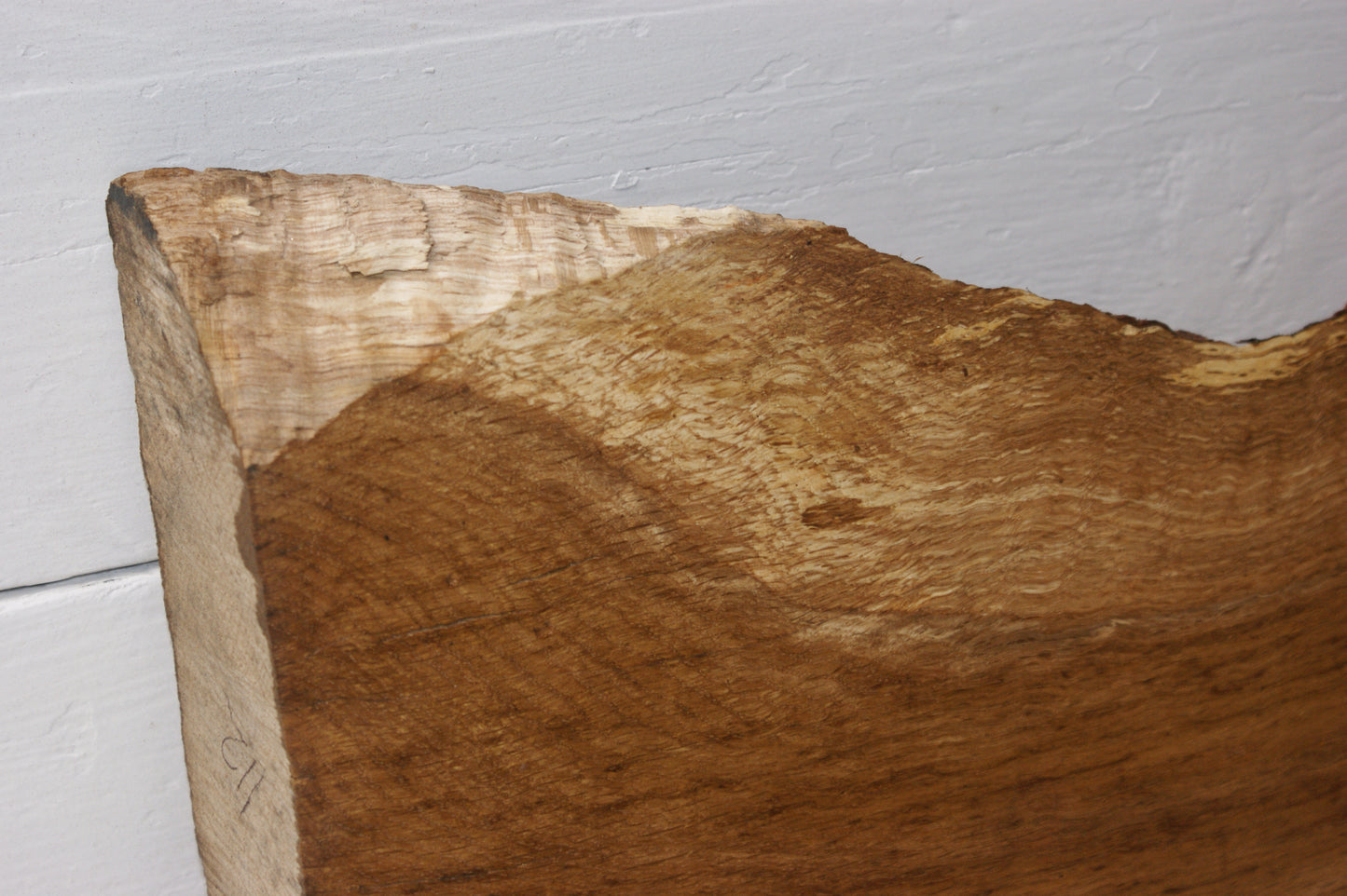 Burr Brown Oak 555 L x 310 - 215 W x 57 D mm (112)