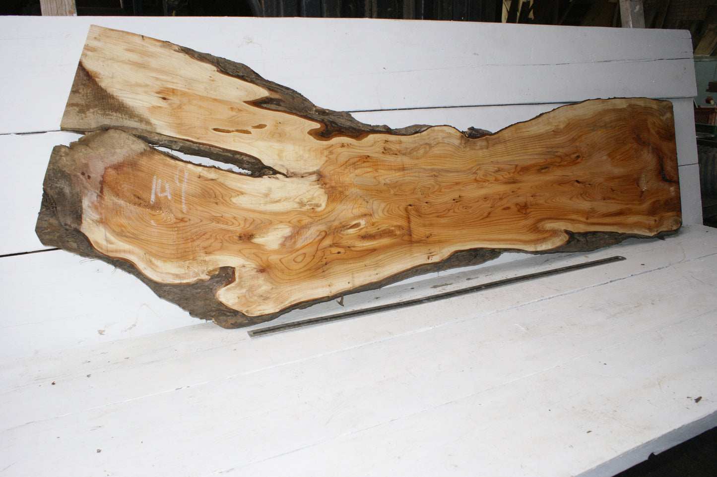 English Yew 1650 L x 555-290 W x 37 D (mm) (149)