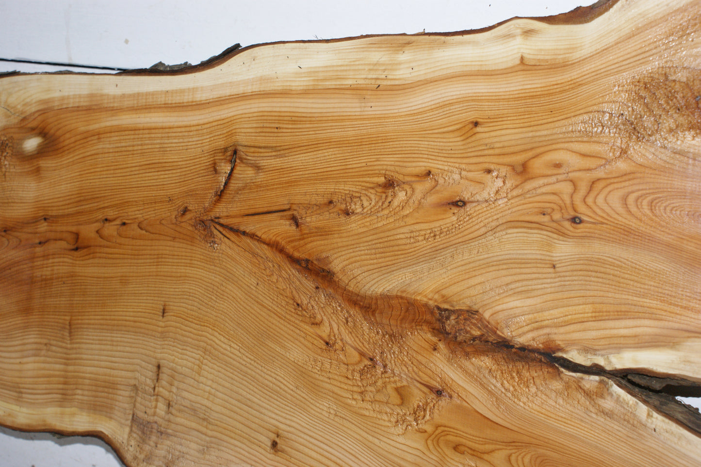 English Yew 1668 L x 545-125 W x 45 D (mm) (152)