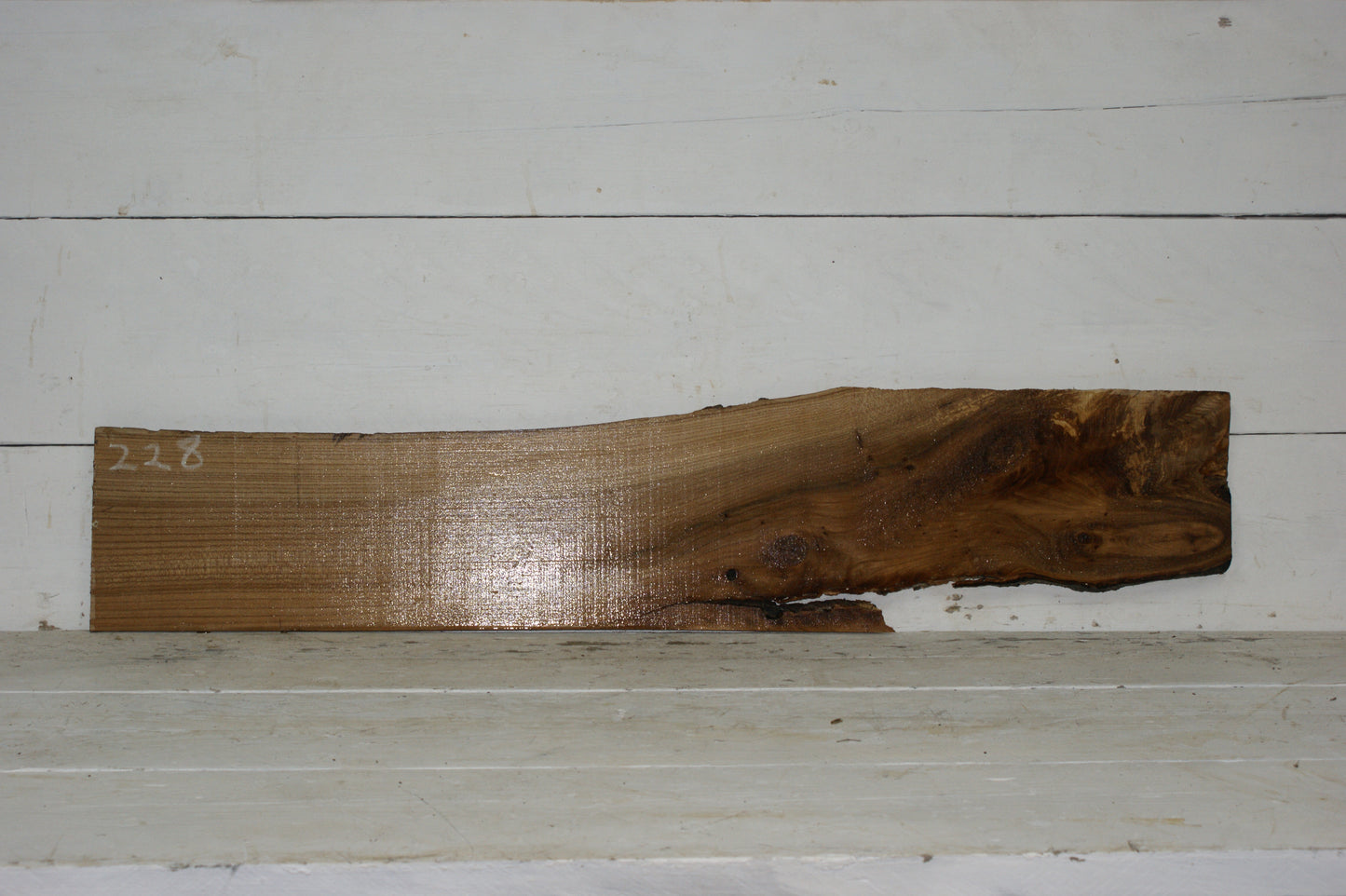 English Elm plank (228)